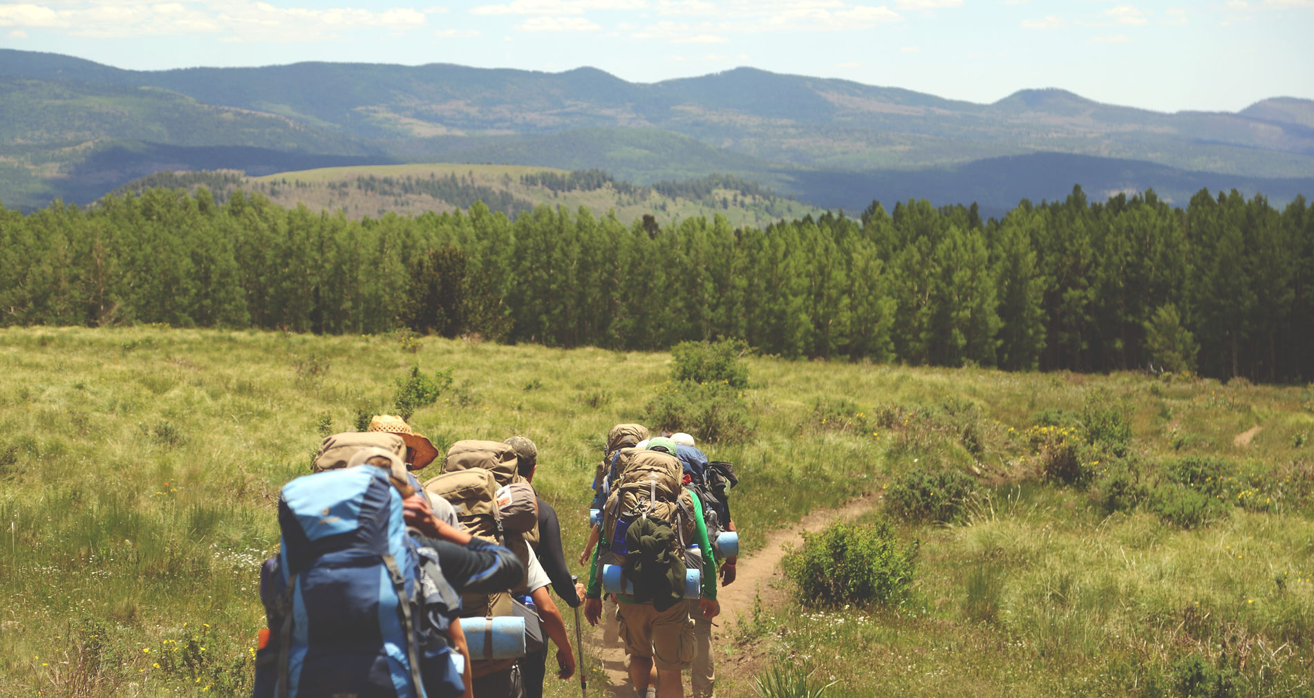 Senderismo en grupo en la naturaleza